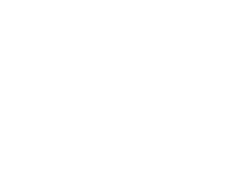 logo a2cases blanco